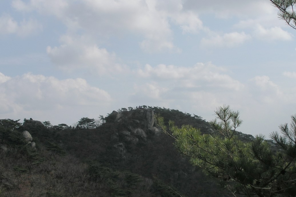 사용자 삽입 이미지