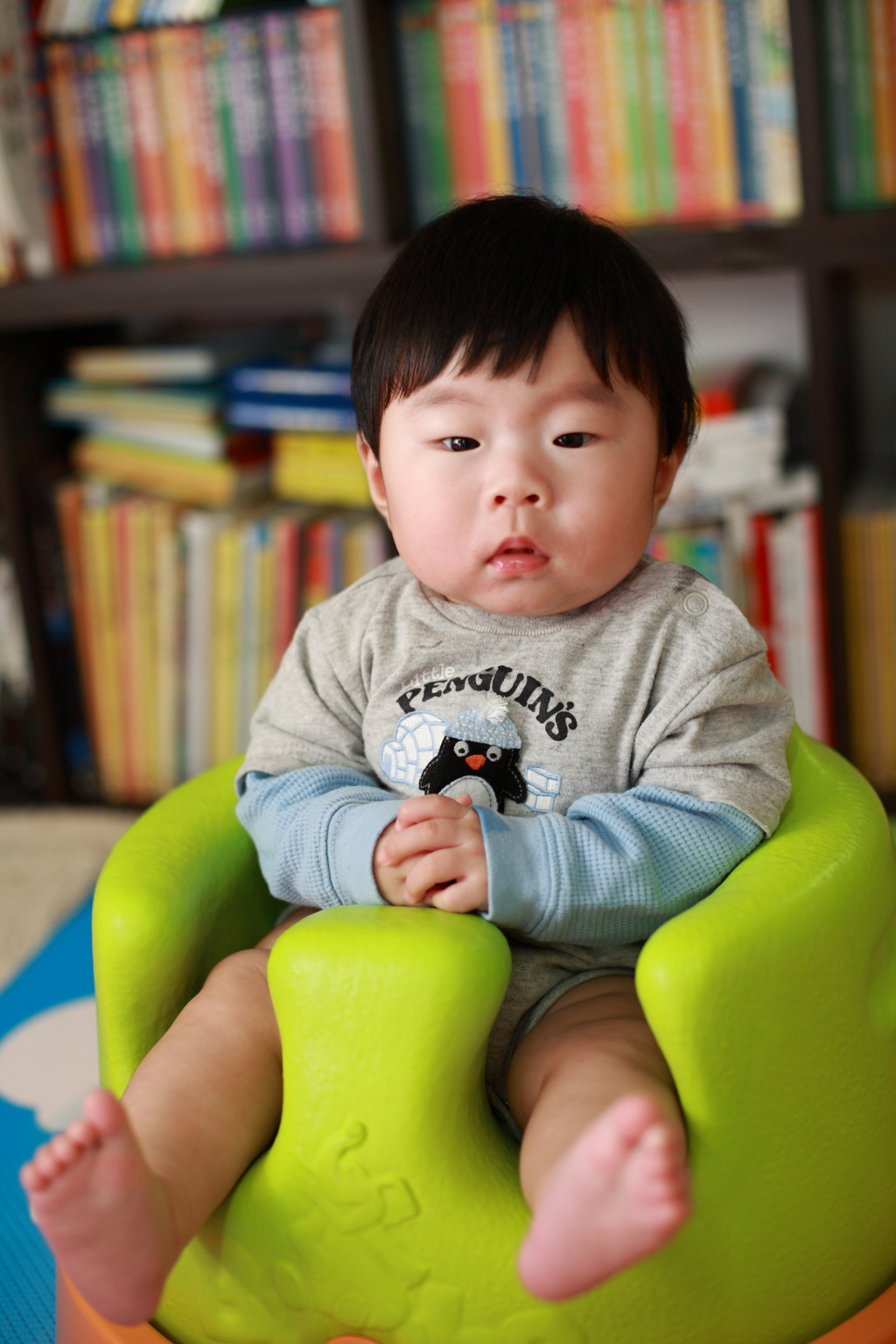 사용자 삽입 이미지