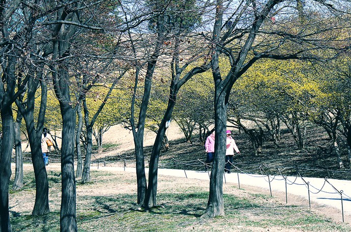 사용자 삽입 이미지