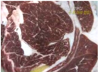 VJ특공대 소한마리 맛집, 대전 유성 한우무한리필