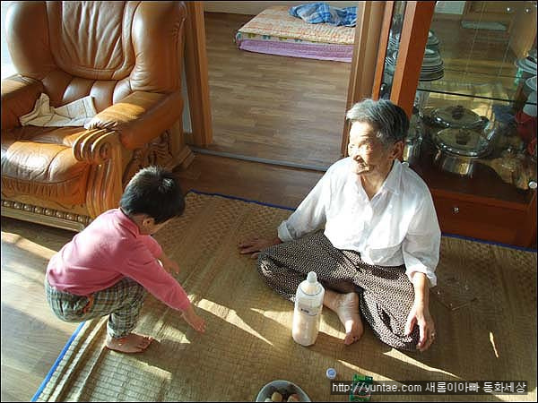 사용자 삽입 이미지