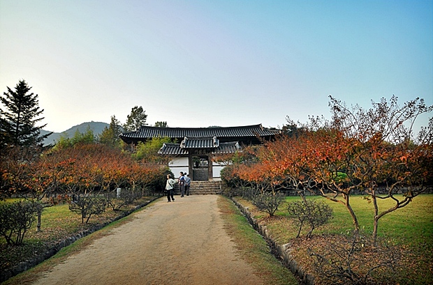 사용자 삽입 이미지