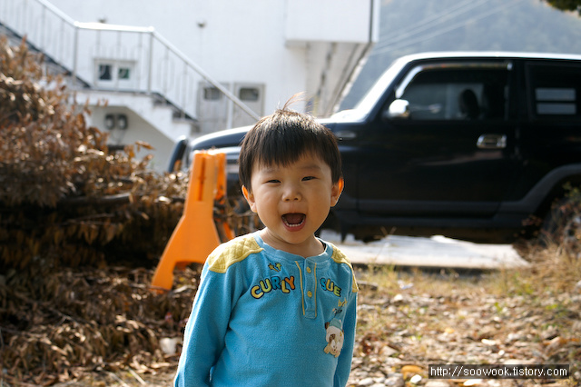 사용자 삽입 이미지