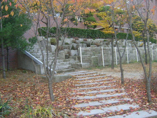 두발로여행사 이미지