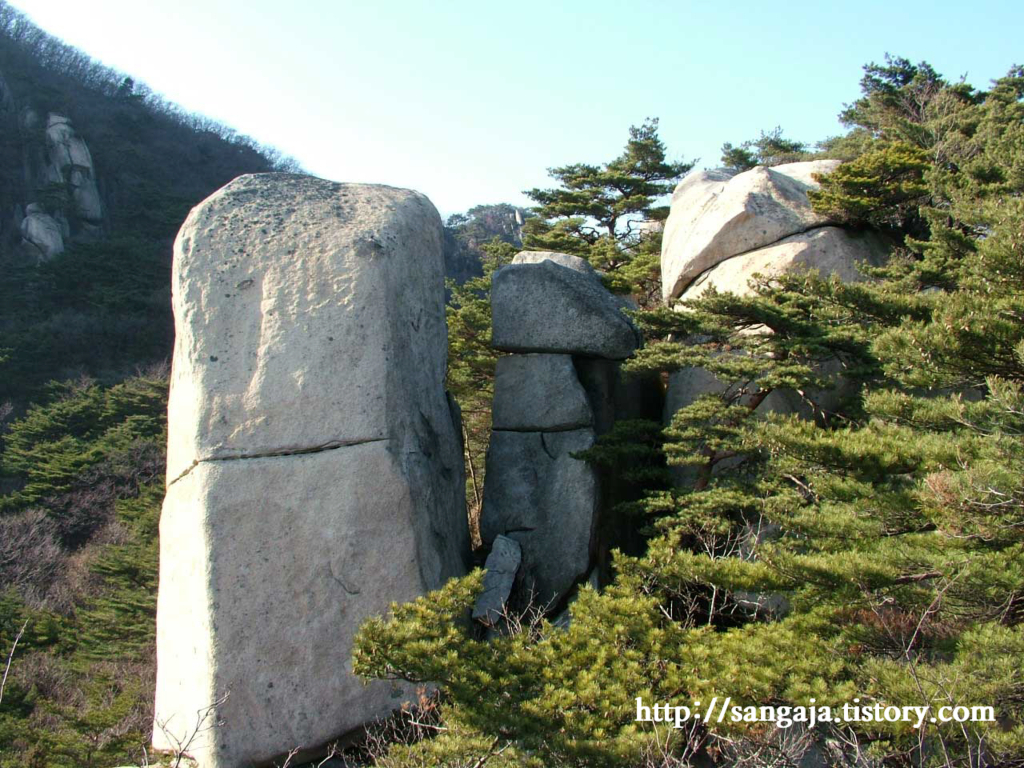 사용자 삽입 이미지