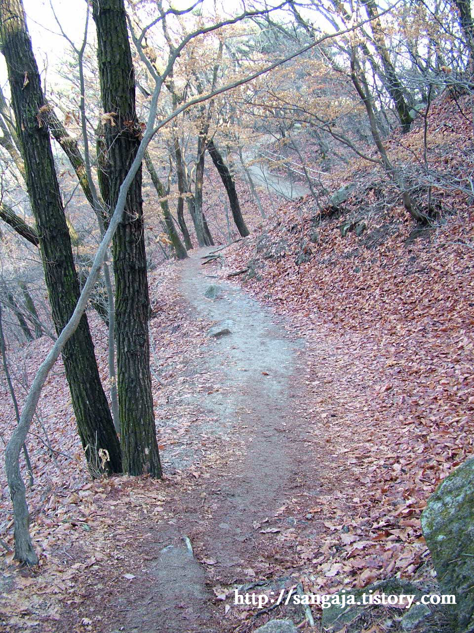 사용자 삽입 이미지