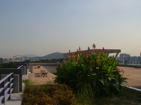 사용자 삽입 이미지