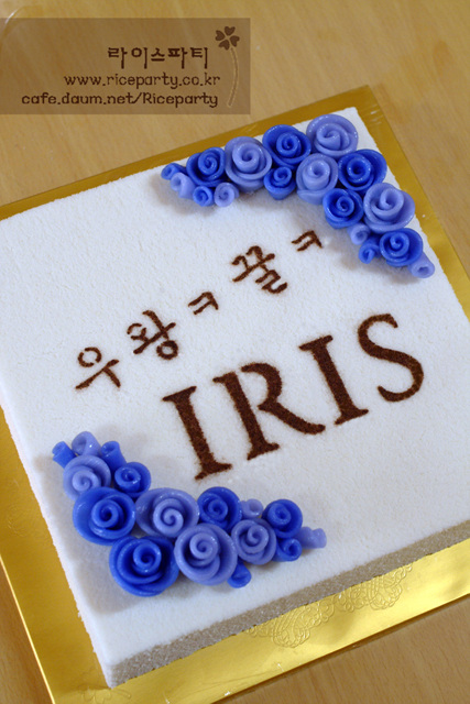 사용자 삽입 이미지