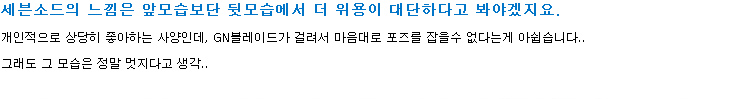 사용자 삽입 이미지