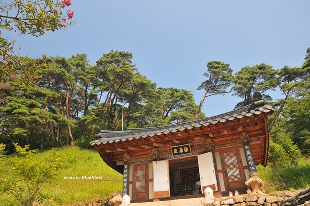 사용자 삽입 이미지