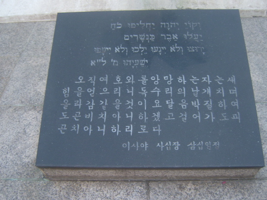 사용자 삽입 이미지
