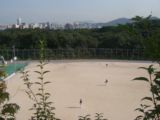 사용자 삽입 이미지