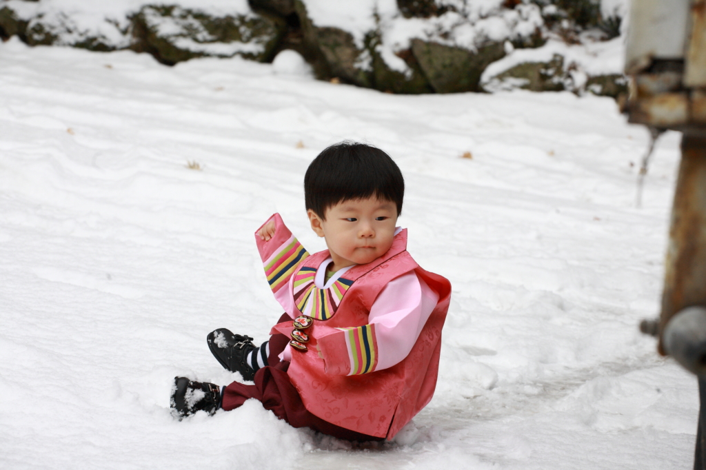 사용자 삽입 이미지