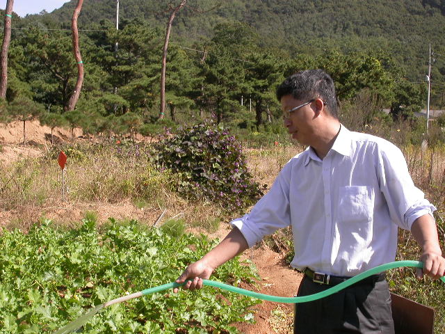 사용자 삽입 이미지