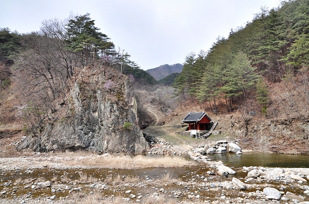 사용자 삽입 이미지