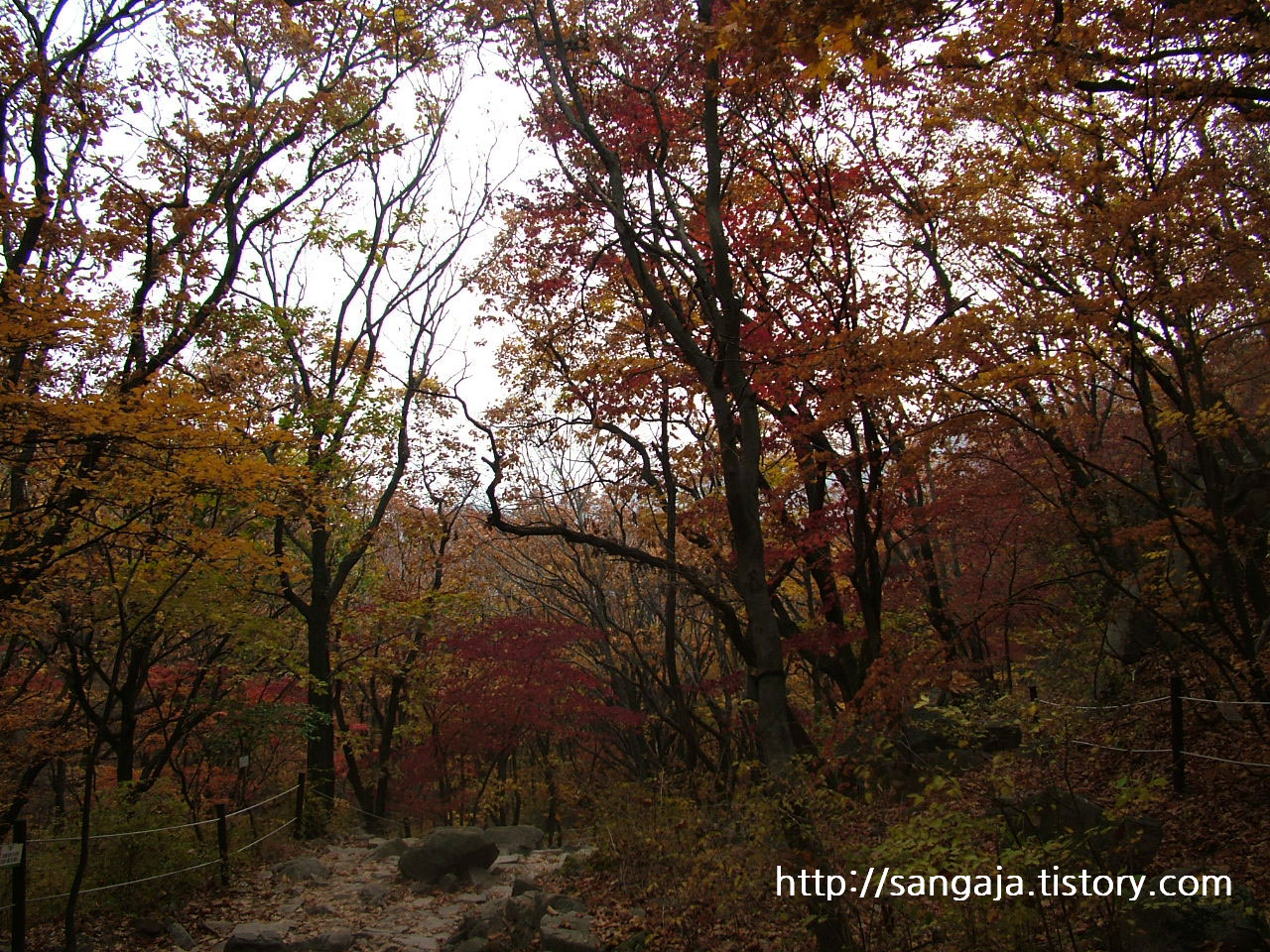 사용자 삽입 이미지