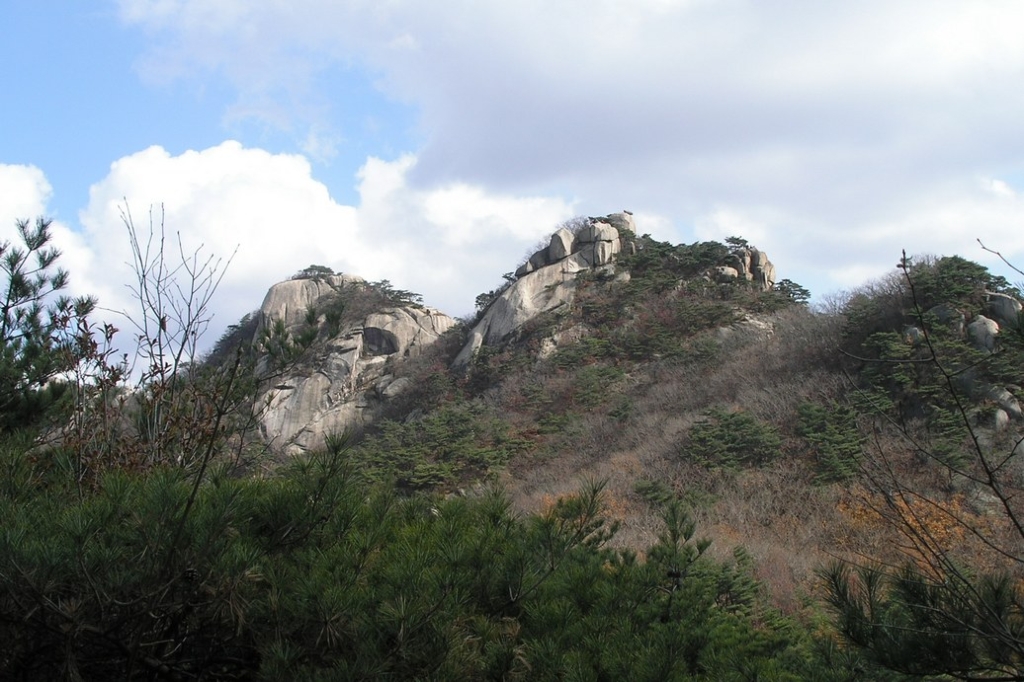 사용자 삽입 이미지