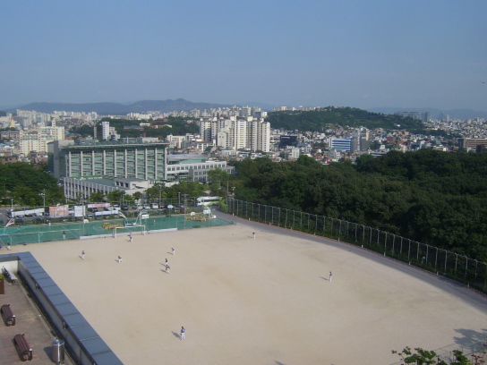 사용자 삽입 이미지