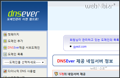 dnsever 1