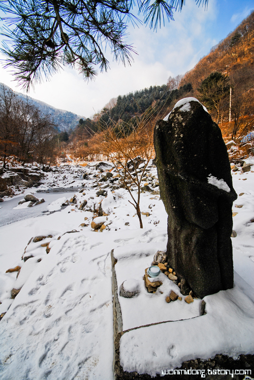 사용자 삽입 이미지