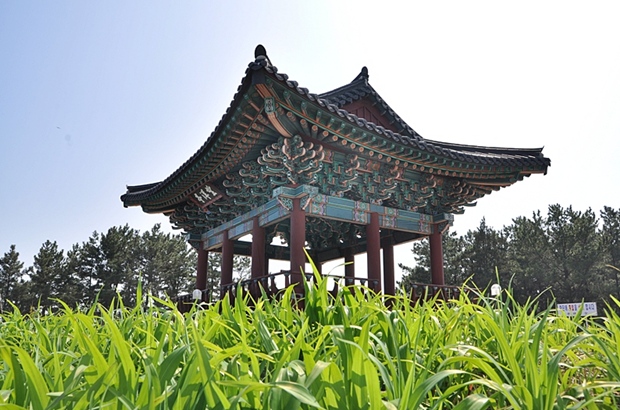 사용자 삽입 이미지