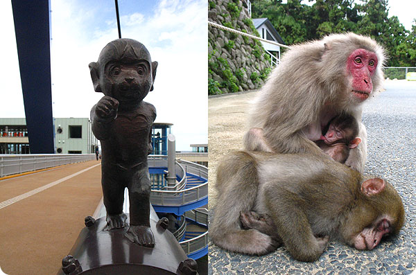 타카자키 동물원 원숭이