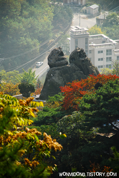 사용자 삽입 이미지