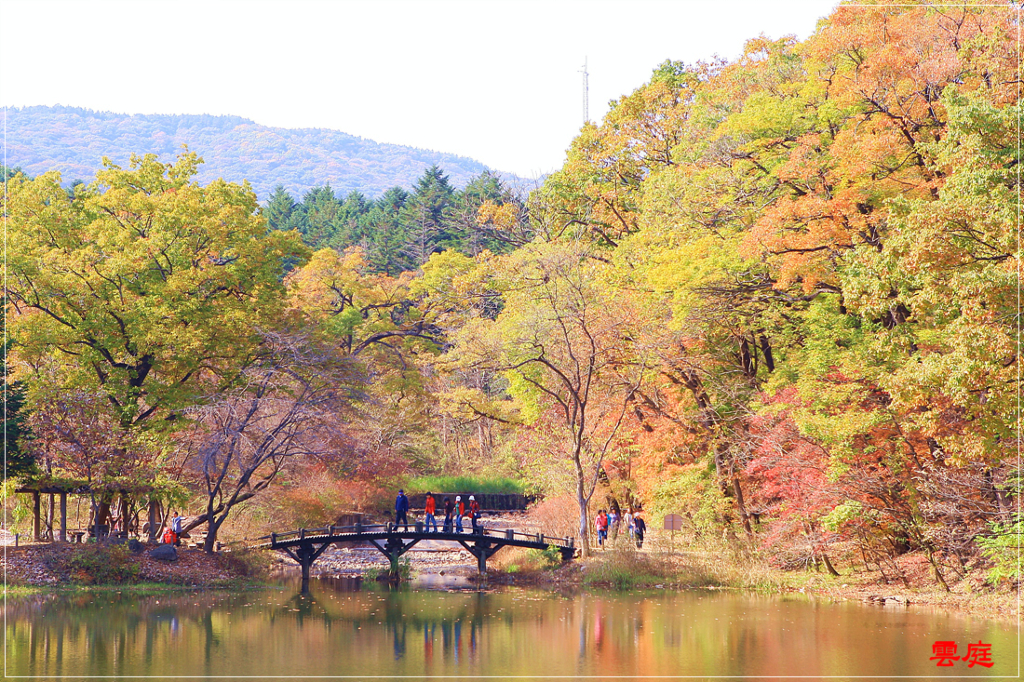 사용자 삽입 이미지