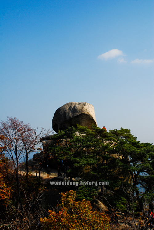 사용자 삽입 이미지