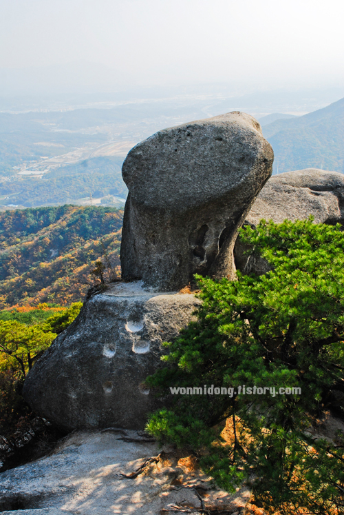 사용자 삽입 이미지