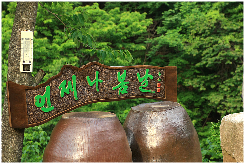 사용자 삽입 이미지