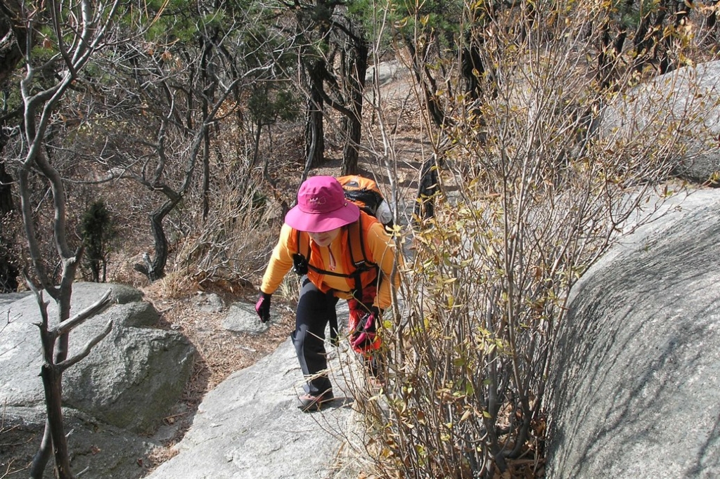 사용자 삽입 이미지