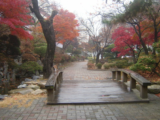 사용자 삽입 이미지