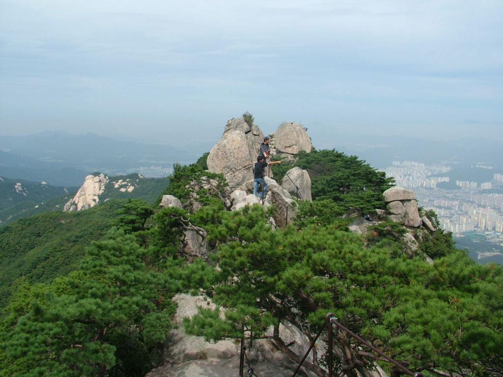 사용자 삽입 이미지