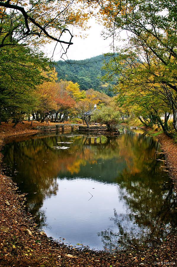 장산숲가을풍경