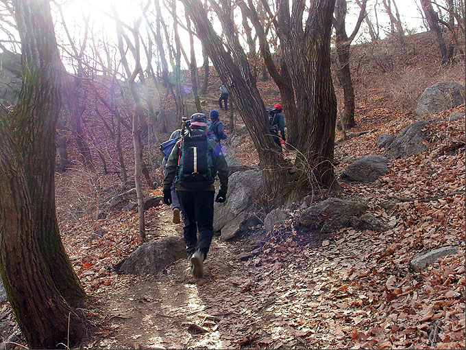 사용자 삽입 이미지