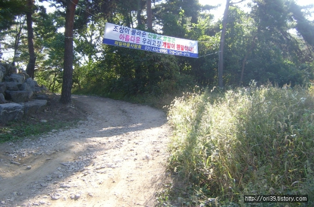 사용자 삽입 이미지