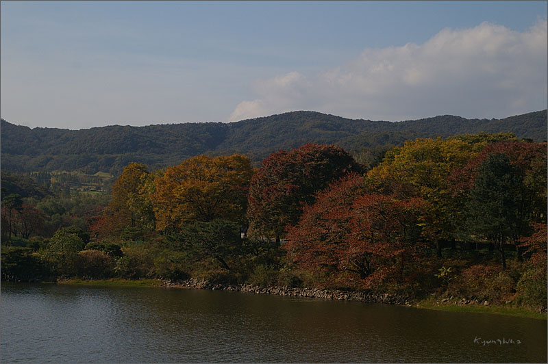 사용자 삽입 이미지