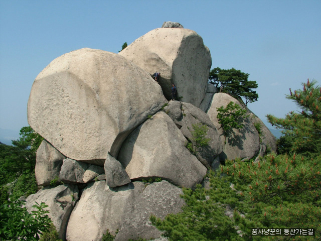 사용자 삽입 이미지