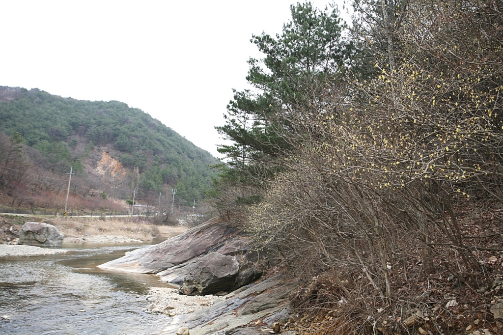 사용자 삽입 이미지