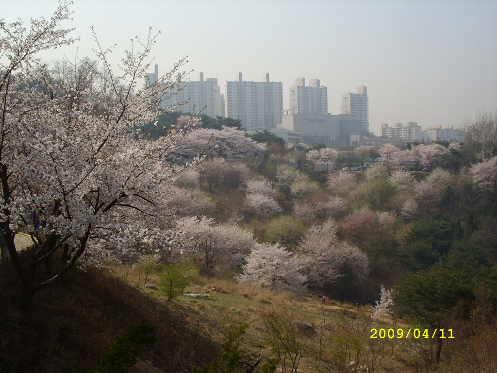 사용자 삽입 이미지