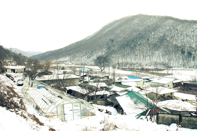 사용자 삽입 이미지