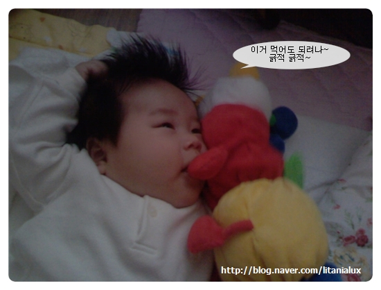 사용자 삽입 이미지