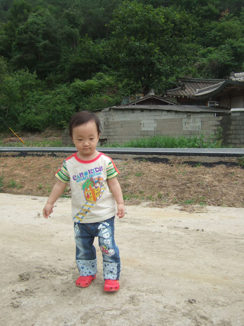 사용자 삽입 이미지