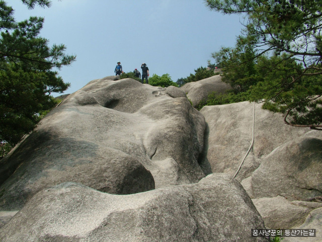 사용자 삽입 이미지