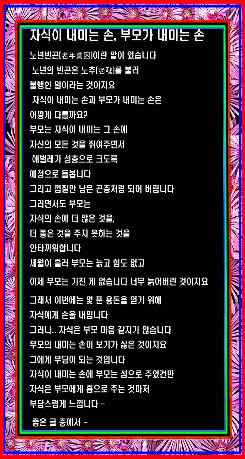 사용자 삽입 이미지