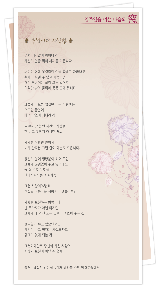 사용자 삽입 이미지