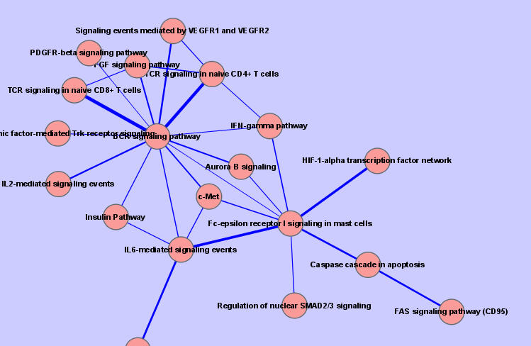 cytoscape으로 그린 network의 예