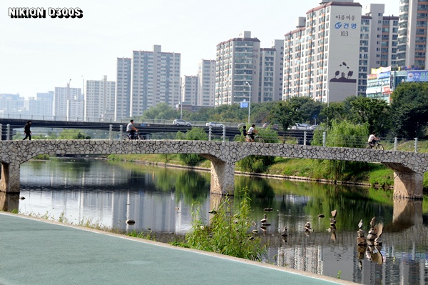 사용자 삽입 이미지