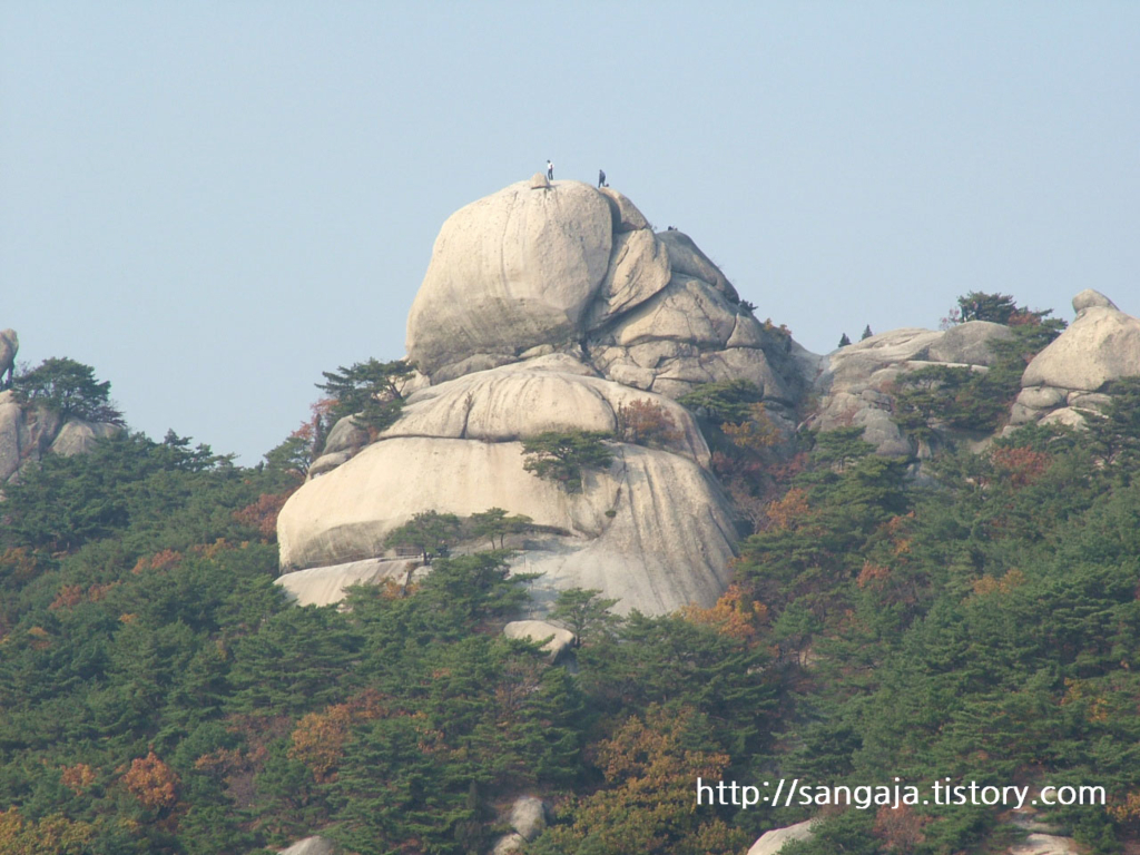 사용자 삽입 이미지